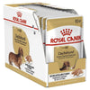 Dachshund Adult Wet Dog Food Pouch - Royal Canin - PetStore.ae