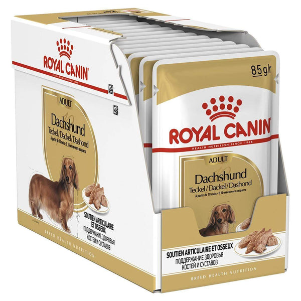 Dachshund Adult Wet Dog Food Pouch - Royal Canin - PetStore.ae