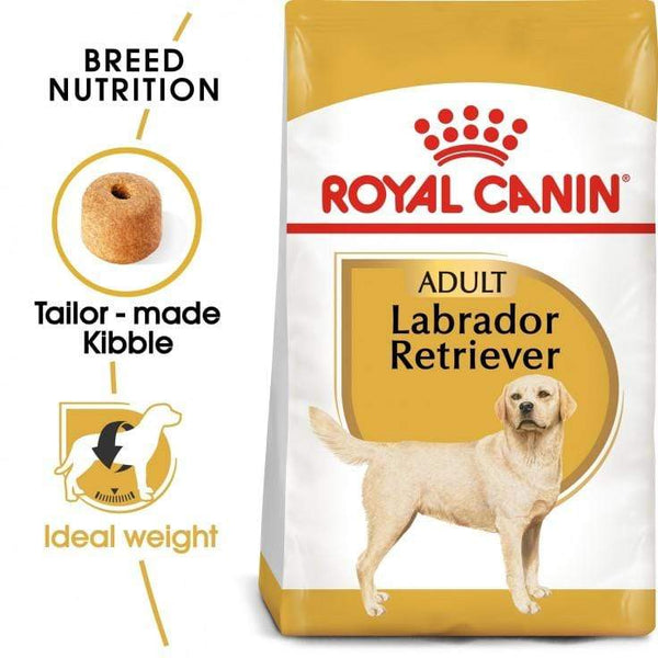 Labrador Retriever Adult Dog Food - Royal Canin - PetStore.ae