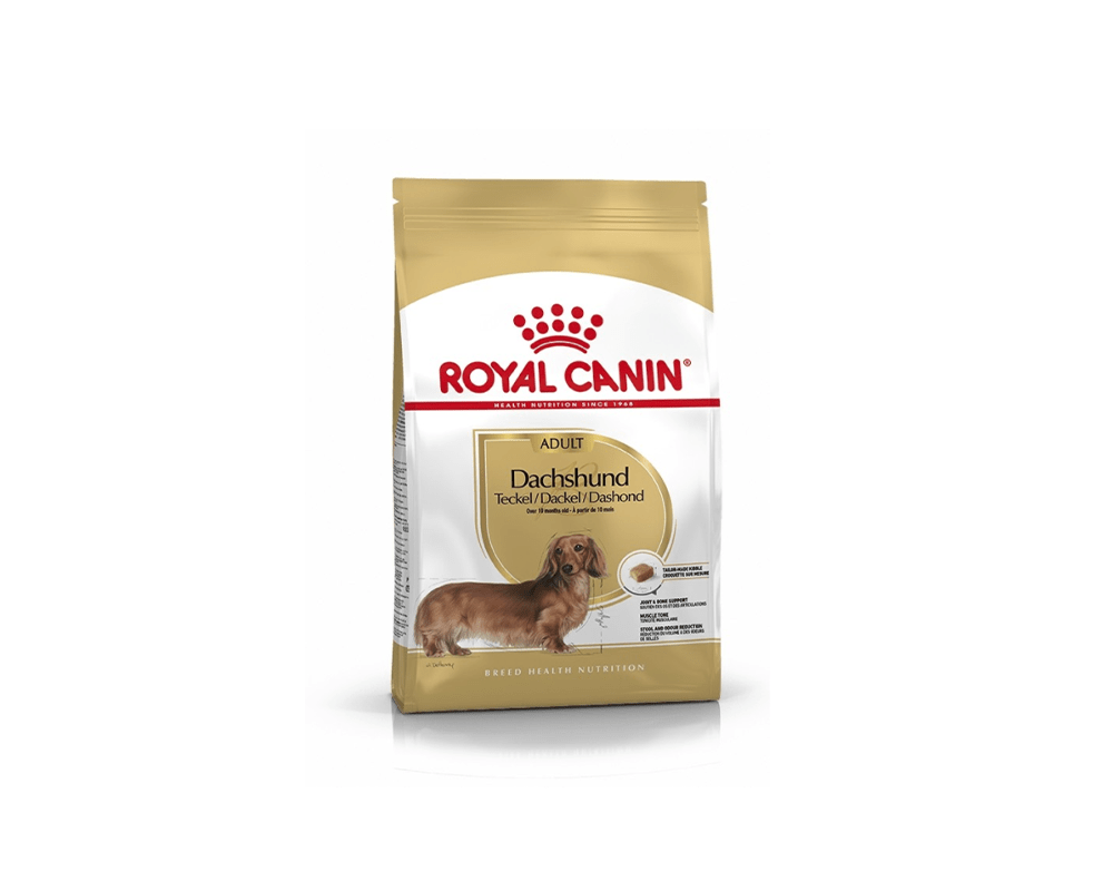Dachshund Adult Dog Food - Royal Canin - PetStore.ae