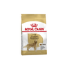 Golden Retriever Adult Dog Food - Royal Canin - PetStore.ae