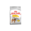 Medium Dermacomfort Dog Food - Royal Canin - PetStore.ae