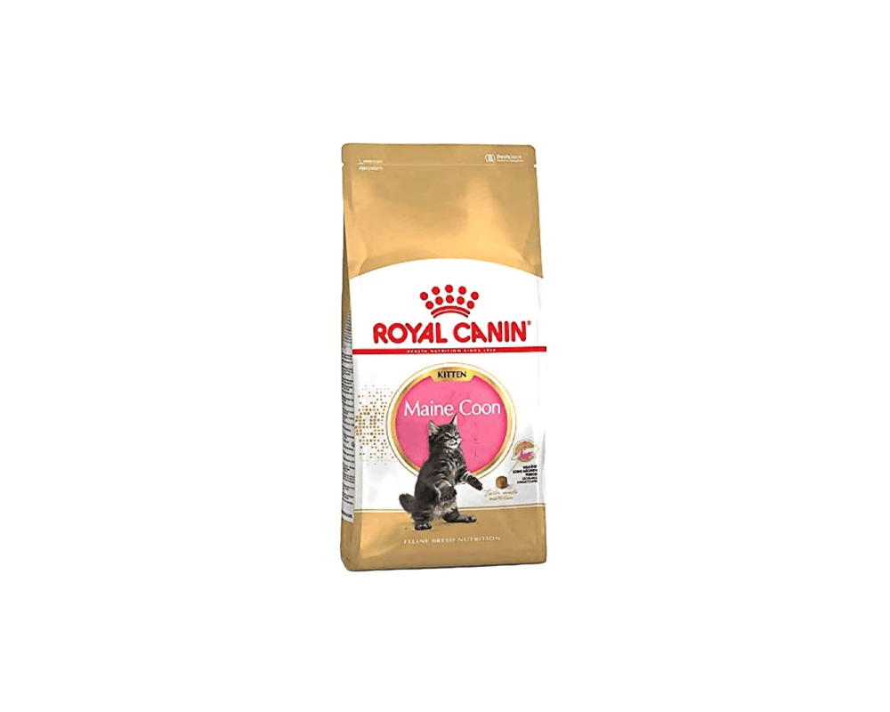 Feline Breed Nutrition Maine Coon Kitten Food - Royal Canin