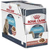 products/royal-canin-pets-royal-canin-feline-care-nutrition-urinary-care-wet-food-pouches-18270857658530.jpg