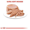 Royal Canin - Mother and Babycat ultra soft mousse 195g - PetStore.ae