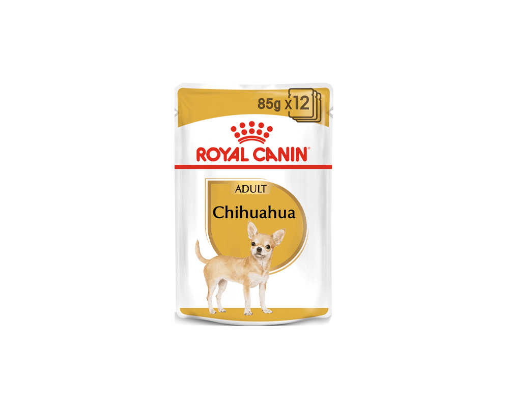 Chihuahua Adult Wet Dog Food Pouch - Royal Canin - PetStore.ae