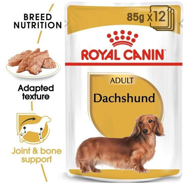 Dachshund Adult Wet Dog Food Pouch - Royal Canin - PetStore.ae