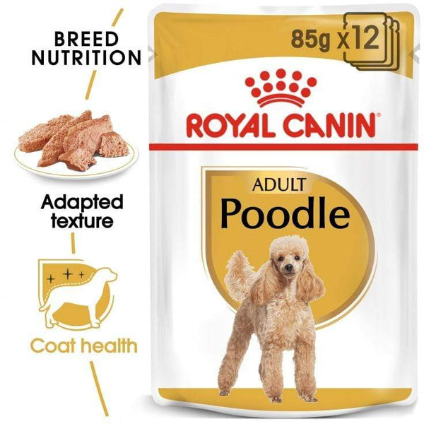Poodle Adult Wet Dog Food Pouch - Royal Canin - PetStore.ae