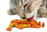 products/sanal-pets-food-sanal-cat-fish-bites-cup-30897606787234.jpg