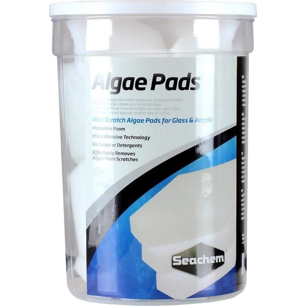 Algae Pads - Seachem - PetStore.ae