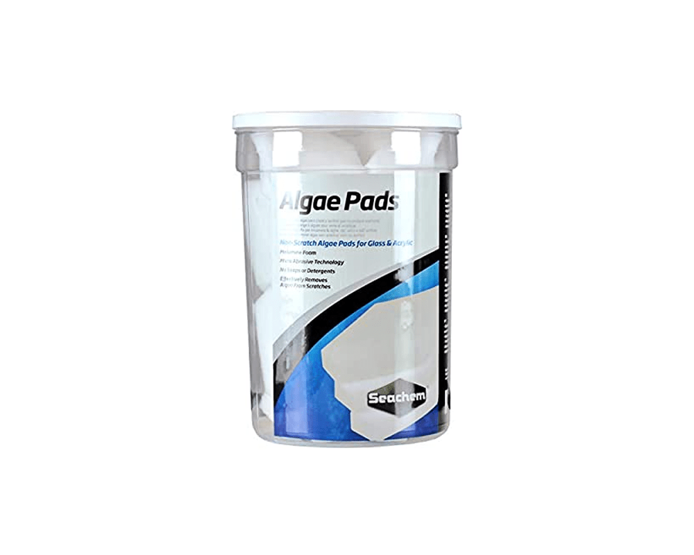 Algae Pads - Seachem - PetStore.ae