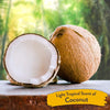 TropiClean - Hypoallergnic Shampoo Gentle Coconut for Pets/Puppy - PetStore.ae