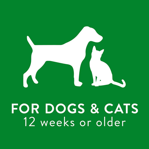 TropiClean - Medicated Itch Relief Shampoo for Pets Oatmeal & Tea Tree 355ml - PetStore.ae