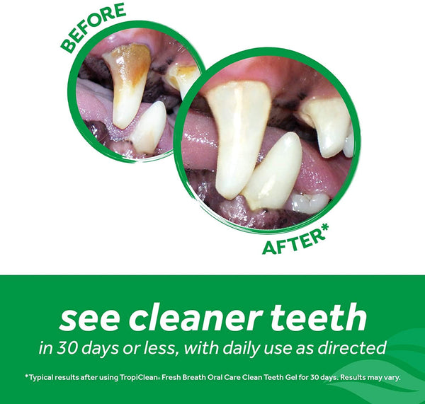 TropiClean - Oral Care Gel For Dogs With Peanut Butter - PetStore.ae