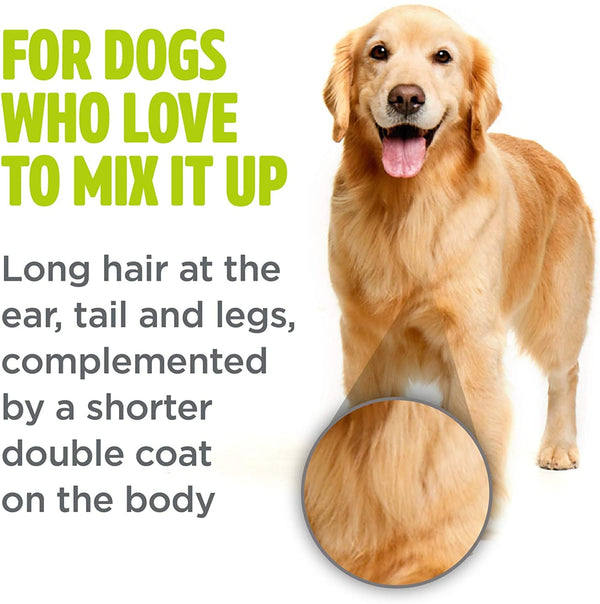 TropiClean - PerfectFur Combination Coat Shampoo for Dogs, 16oz - PetStore.ae