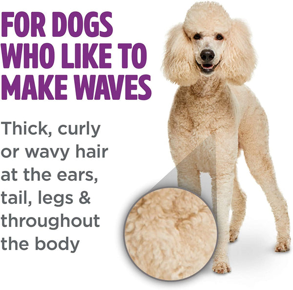 TropiClean - PerfectFur Curly & Wavy Coat Shampoo for Dogs, 16oz - PetStore.ae