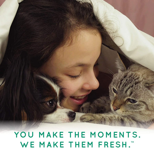 TropiClean - Tangle Remover Spray for Pets - PetStore.ae