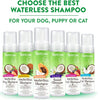 TropiClean - Waterless Shampoos Berry and coconut for Cats 220ml - PetStore.ae