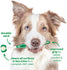 products/tropiclean-pets-tropiclean-triple-flex-toothbrush-for-pets-30390102491298.jpg
