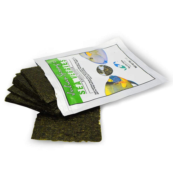 Sea Veggies Green Seaweed - Fish Food - Two Little Fishies - PetStore.ae