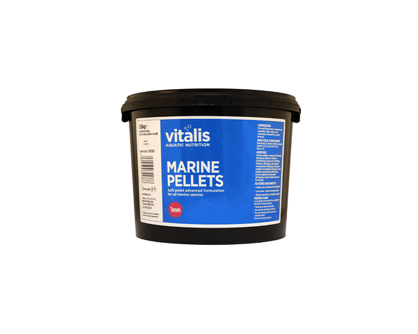 Marine Pellets (XS) - Fish Food - Vitalis - PetStore.ae