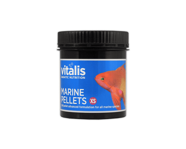 Marine Pellets (XS) - Fish Food - Vitalis - PetStore.ae