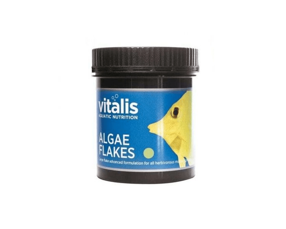 Algae Flakes - Aquatic Nutrition - Vitalis - PetStore.ae