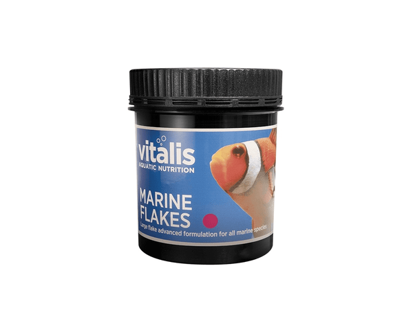 Marine Flakes - Fish Food - Vitalis - PetStore.ae