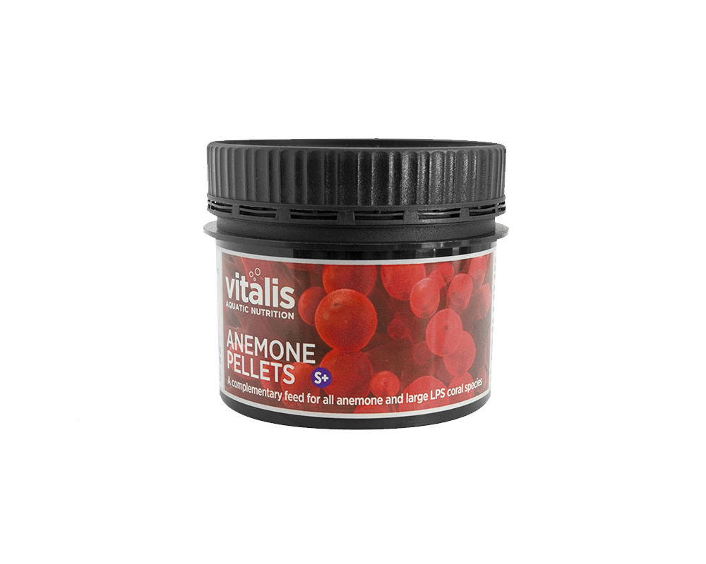 Anemone Pellets - Coral Food - Vitalis - PetStore.ae