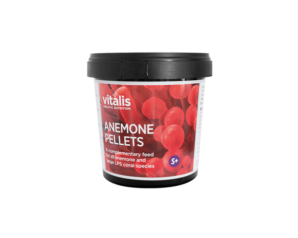 Anemone Pellets - Coral Food - Vitalis - PetStore.ae