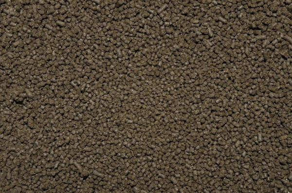 Goldfish Pellets S - Fish Food - Vitalis - PetStore.ae