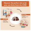 Wellness Core - Original Turkey With Chicken Recipe Cat Dry Food - PetStore.ae