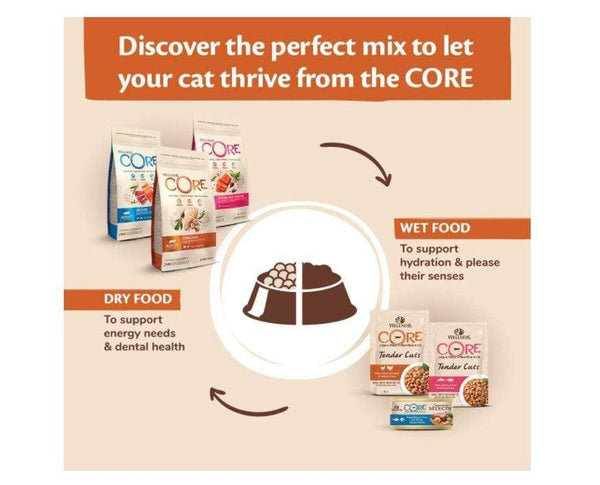 Wellness Core - Original Turkey With Chicken Recipe Cat Dry Food - PetStore.ae