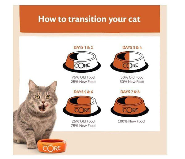 Wellness Core - Original Turkey With Chicken Recipe Cat Dry Food - PetStore.ae
