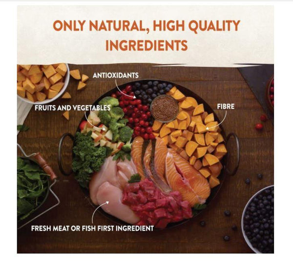 Wellness - CORE Signature Selects Flaked Skipjack Tuna with Shrimp Entree in Broth for Cat - PetStore.ae