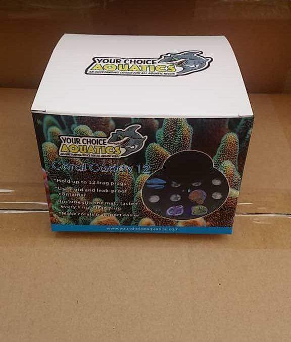 Coral Caddy 12 Transport Container - YCA - PetStore.ae