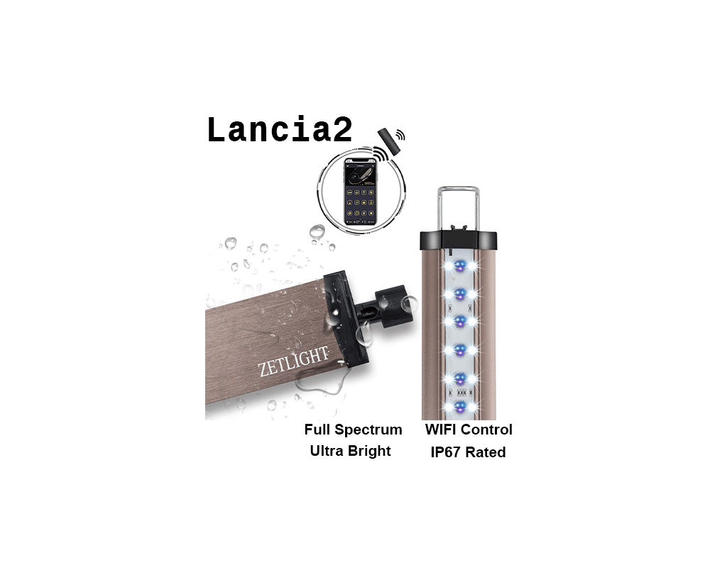 Lancia2 ZP4000 LED Freshwater Lighting System - Zetlight