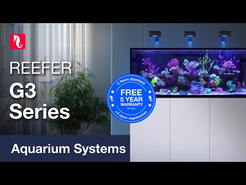 Red Sea Reefer G2+ vs. G3: The Ultimate Next-Gen Comparison