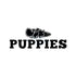 files/alpha-spirit-non-prescription-dog-food-semi-wet-food-for-dogs-alpha-spirit-semi-moist-complete-dog-food-for-puppies-1-5kg-bag-9kg-box-1166656114.jpg