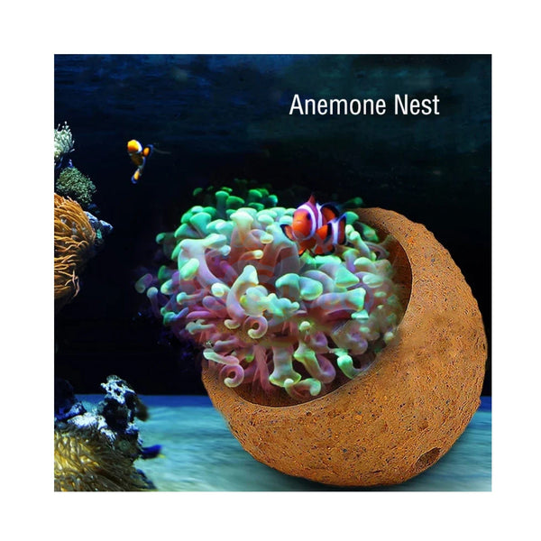 Aquarium System Solution Aquarium Accessories / Anemone Nest Aquarium System Solution (ASS) Anemone Nest Holder