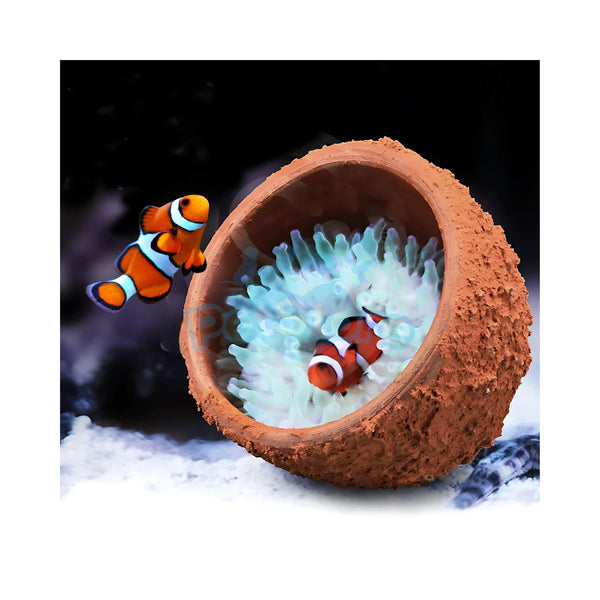 Aquarium System Solution Aquarium Accessories / Anemone Nest Aquarium System Solution (ASS) Anemone Nest Holder