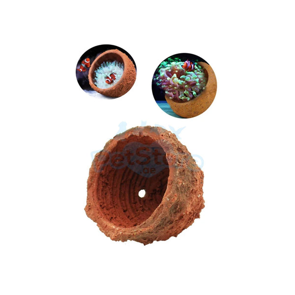 Aquarium System Solution Aquarium Accessories / Anemone Nest Aquarium System Solution (ASS) Anemone Nest Holder
