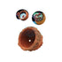 files/aquarium-system-solution-aquarium-accessories-anemone-nest-aquarium-system-solution-ass-anemone-nest-holder-1190120610.jpg