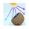 Aquarium System Solution Aquarium Accessories / Anemone Nest Aquarium System Solution (ASS) Anemone Nest Holder