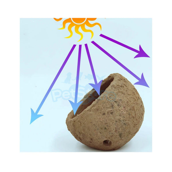 Aquarium System Solution Aquarium Accessories / Anemone Nest Aquarium System Solution (ASS) Anemone Nest Holder