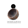 Aquarium System Solution Aquarium Accessories / Anemone Nest Large – Inner Diameter: L9 x W9 x H6 cm | Fits anemone base: 6–8 cm Aquarium System Solution (ASS) Anemone Nest Holder