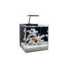 Aquarium System Solution Aquatics / Aquarium Tanks Aquarium System Solution - Nano Aquarium MFT-200 – The Ultimate Desktop Reef