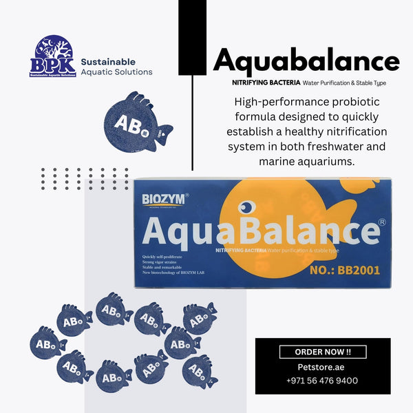 Biozym Additives & Supplements / Nitrifying Bacteria Biozym AquaBalance Nitrifying Bacteria BB2001