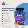 Biozym Additives & Supplements / Nitrifying Bacteria Biozym Marine Nitrifying Bacteria Capsules BC401