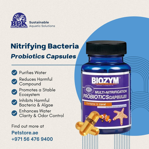 Biozym Additives & Supplements / Nitrifying Bacteria Biozym Marine Nitrifying Bacteria Capsules BC401